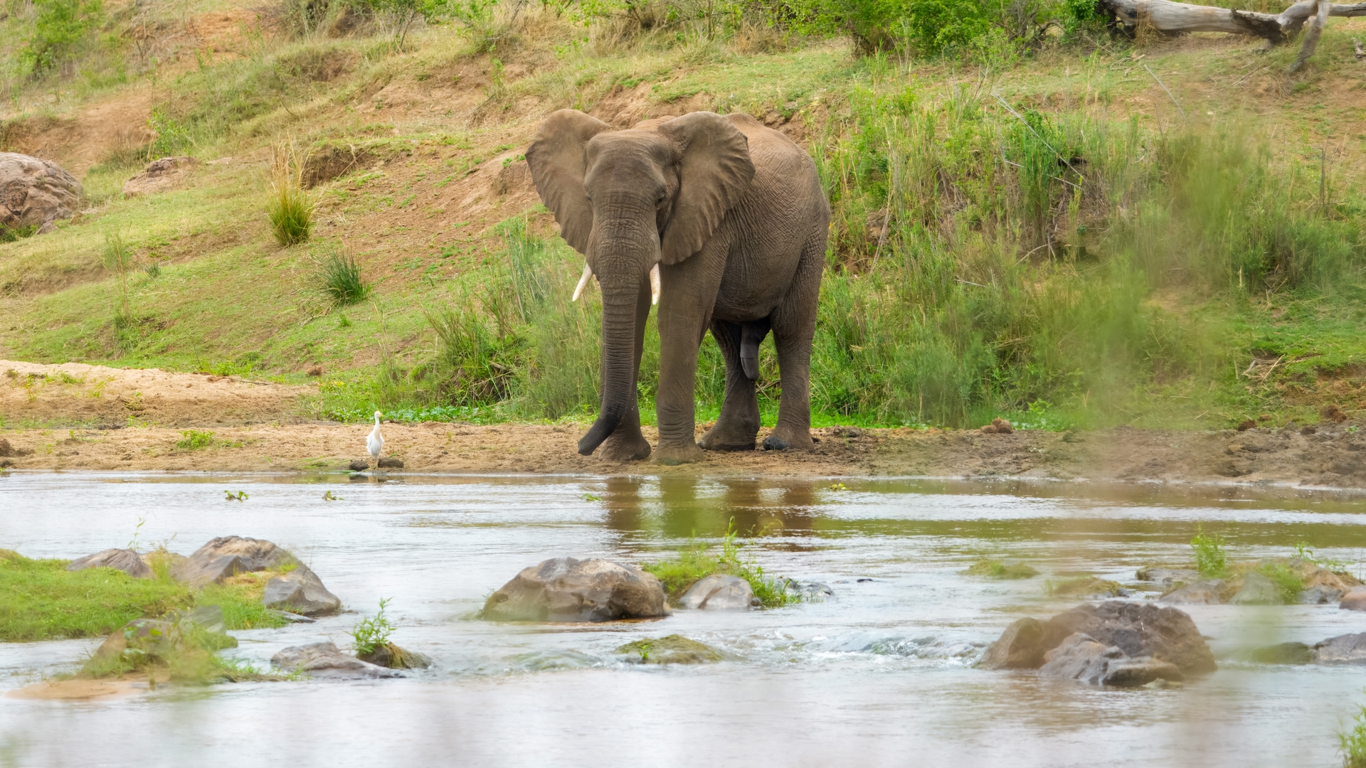 Kruger25 2025 10 28 12 26 36 ILCE 1M2 34